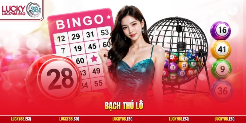 Bạch thủ lô