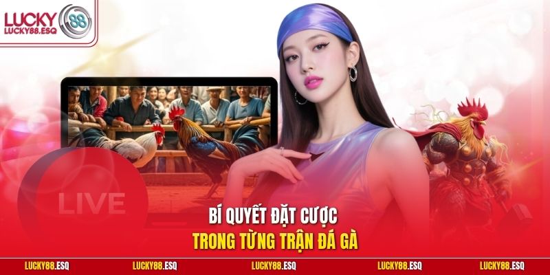 Bí quyết đặt cược trong từng trận đá gà