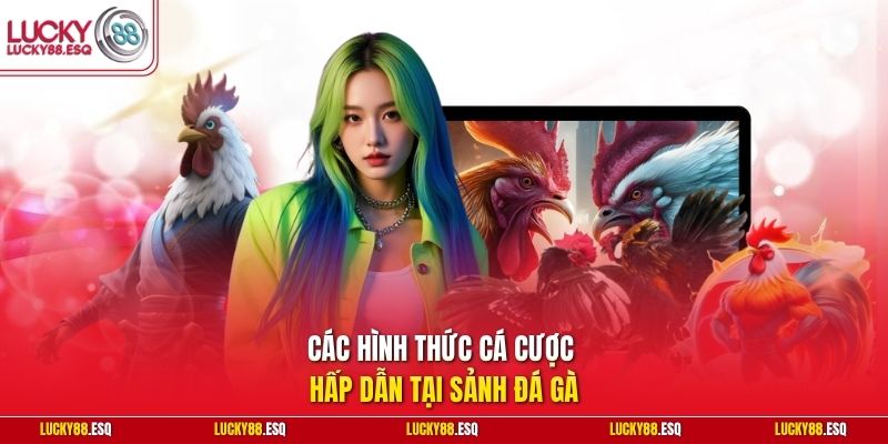 Các hình thức cá cược hấp dẫn tại sảnh đá gà