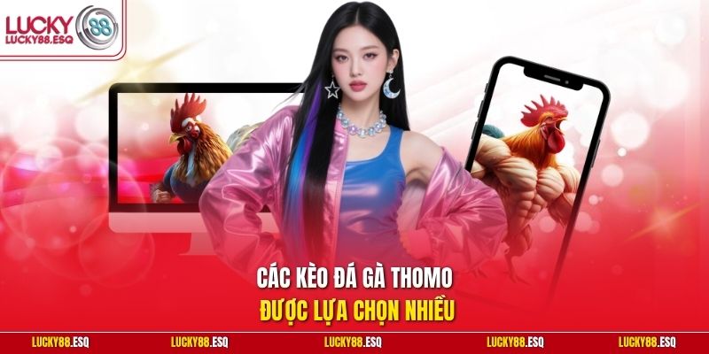 Các kèo đá gà Thomo được lựa chọn nhiều