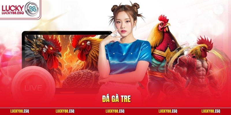 Đá gà tre
