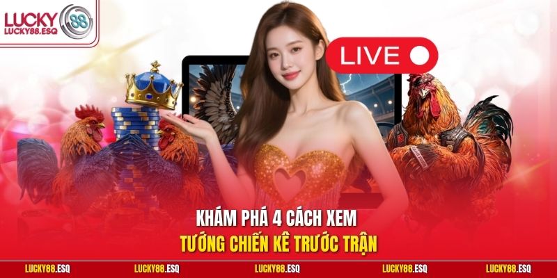 Khám phá 4 cách xem tướng chiến kê trước trận