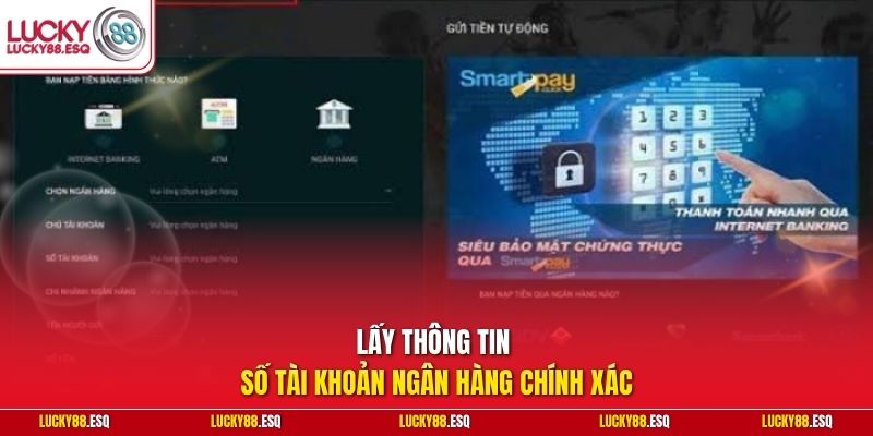 Lấy thông tin số tài khoản ngân hàng chính xác