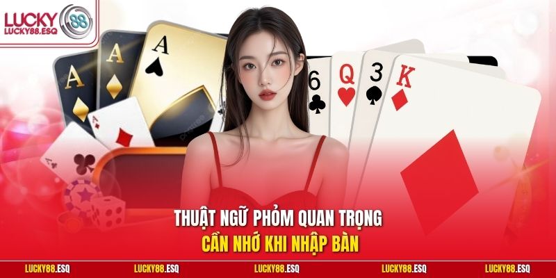 Thuật ngữ Phỏm quan trọng cần nhớ khi nhập bàn