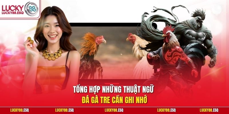 Tổng hợp những thuật ngữ đá gà tre cần ghi nhớ