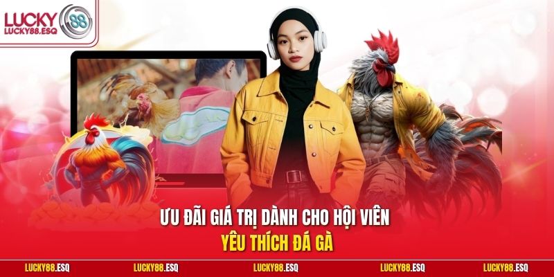 Ưu đãi giá trị dành cho hội viên yêu thích đá gà
